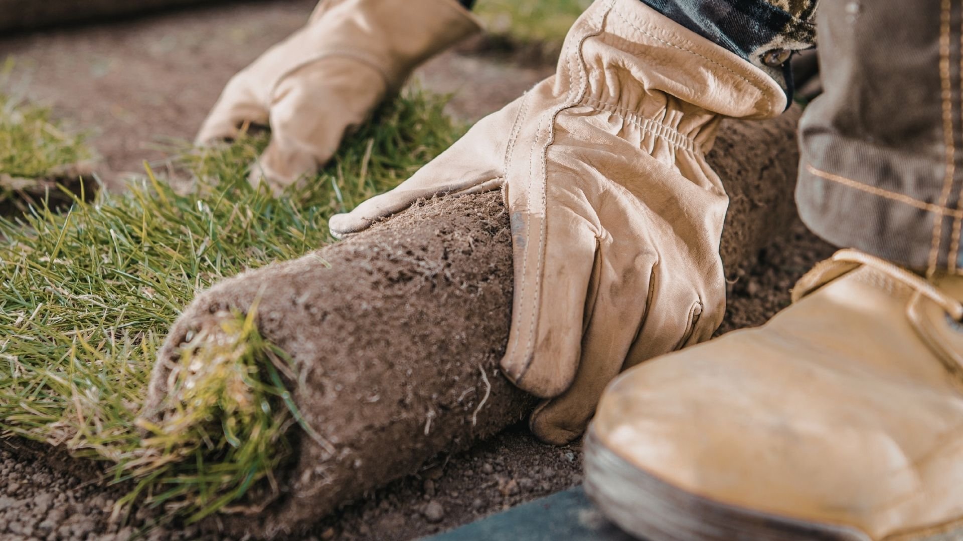 Gloved hands working on lawn care, removing grass and soil