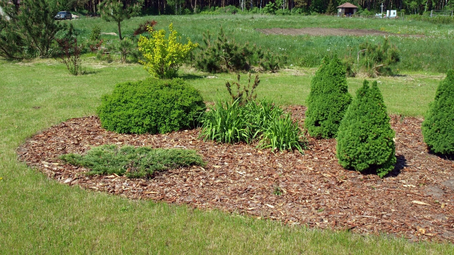 Manicured lawn care with mulched garden bed and green shrubs