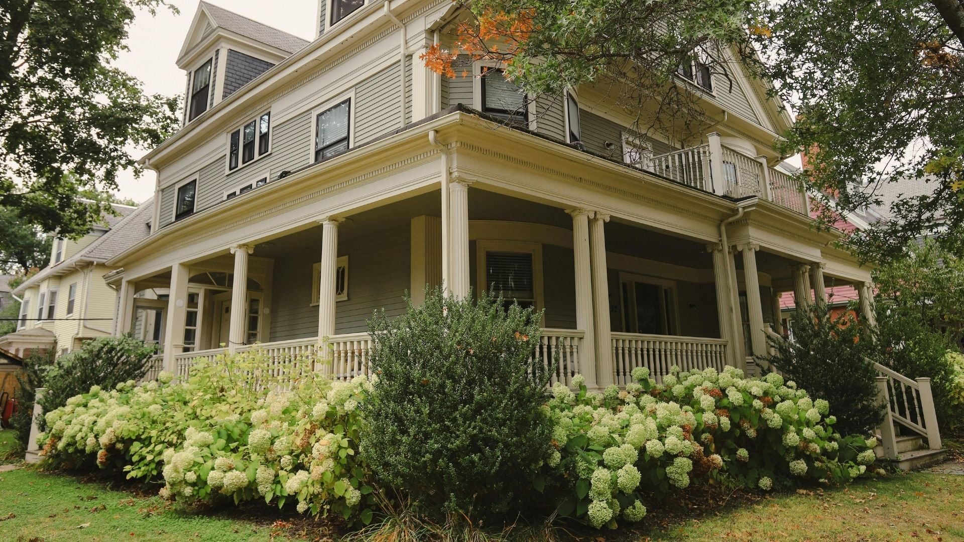 Well-maintained Victorian home with lush hydrangeas showcasing expert lawn care