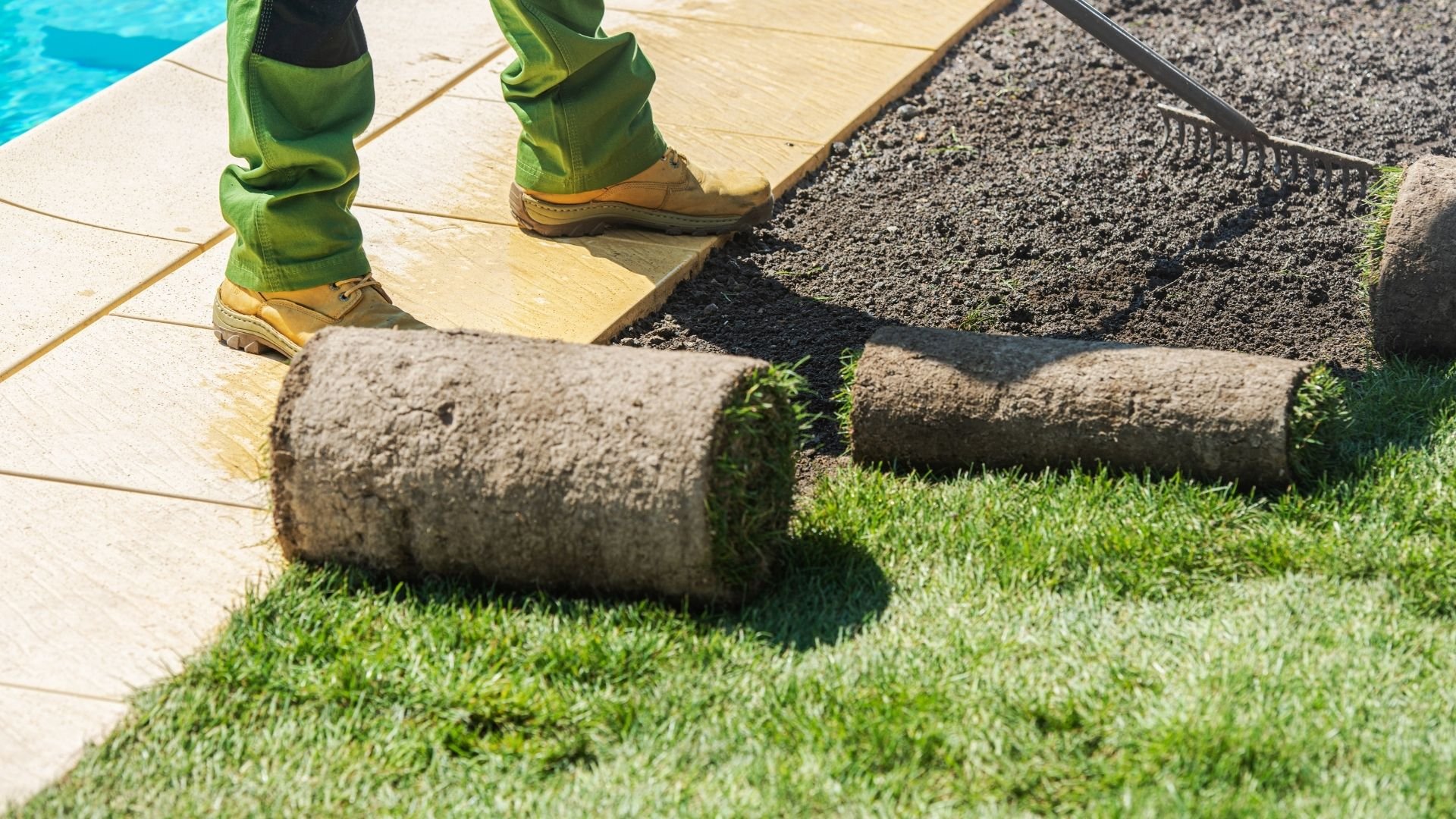 Professional lawn care worker installing fresh sod near swimming pool