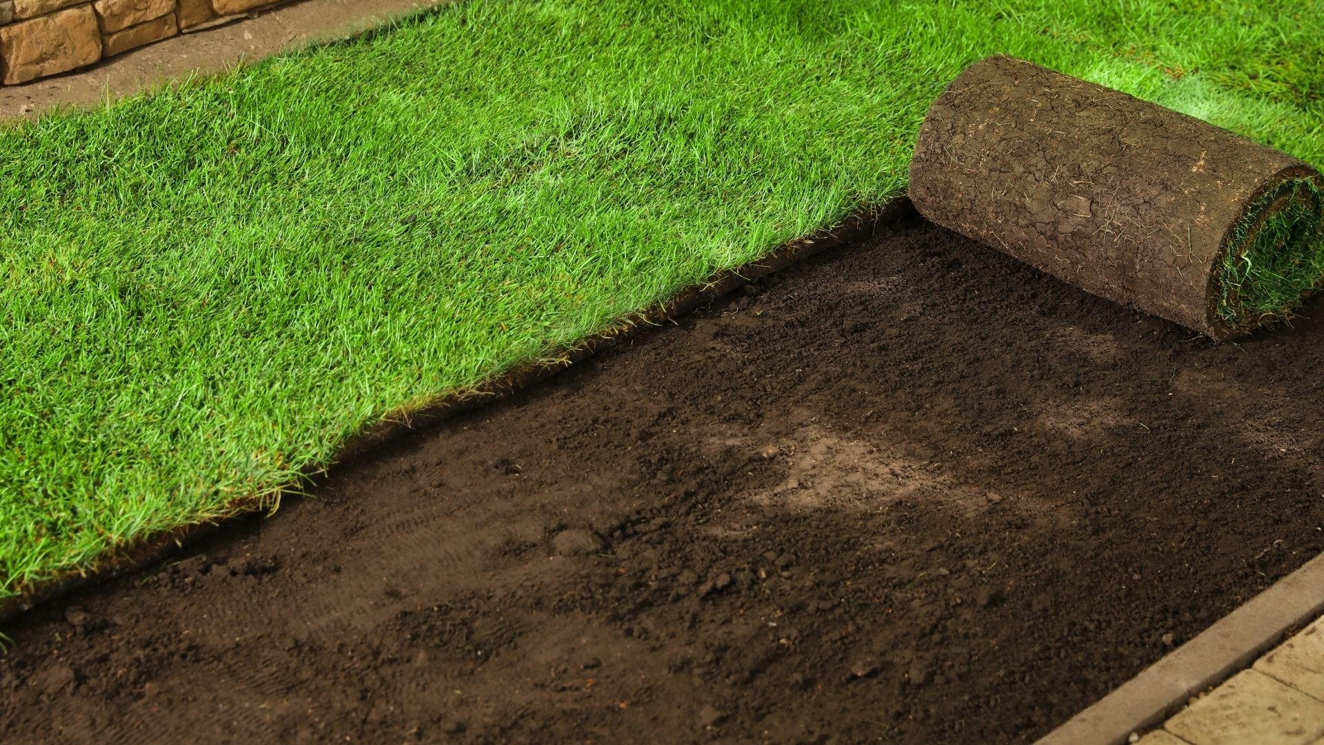 Fresh sod being installed on prepared soil for professional lawn care