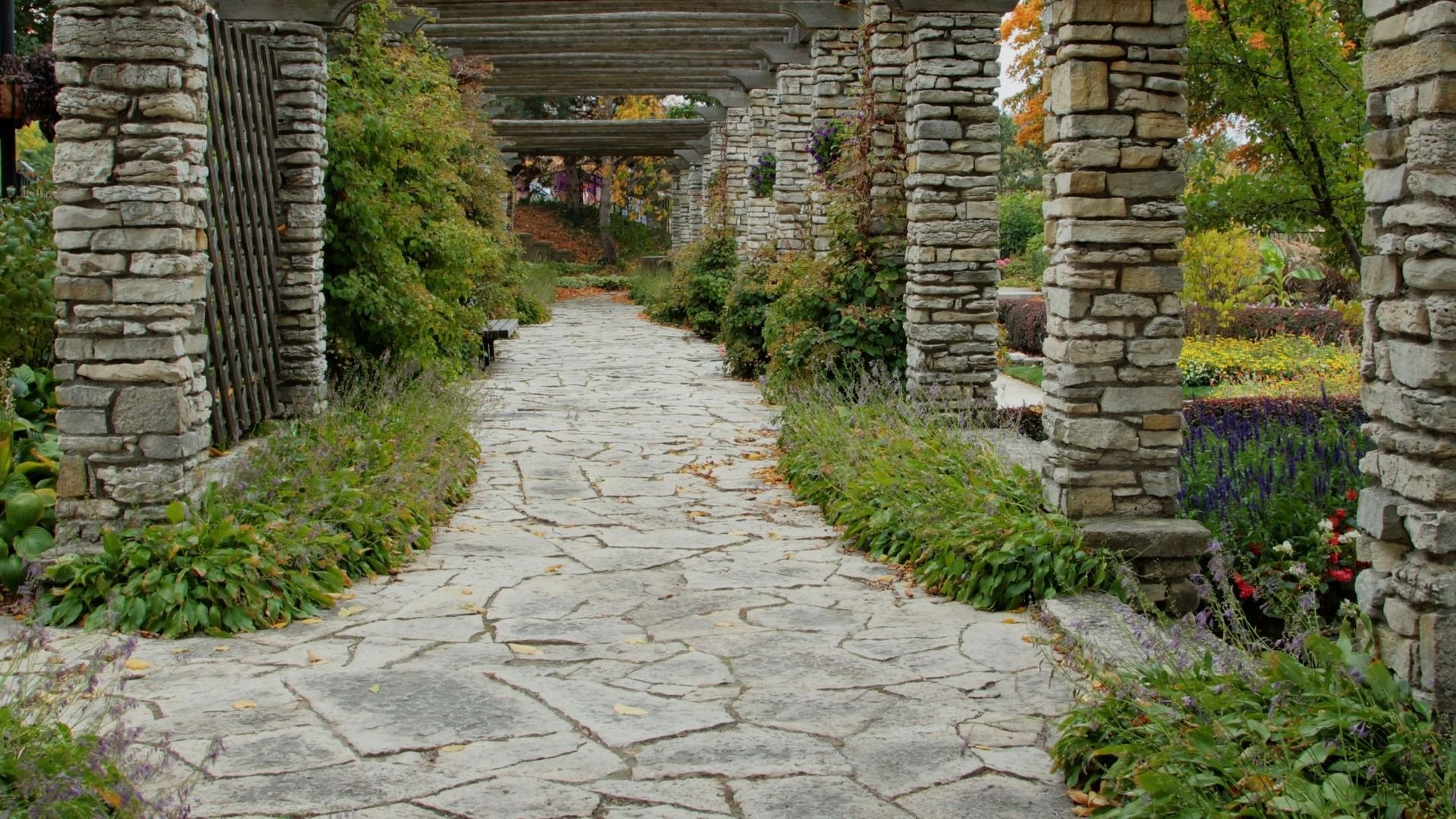 Stone pathway through lush garden with meticulously maintained lawn care