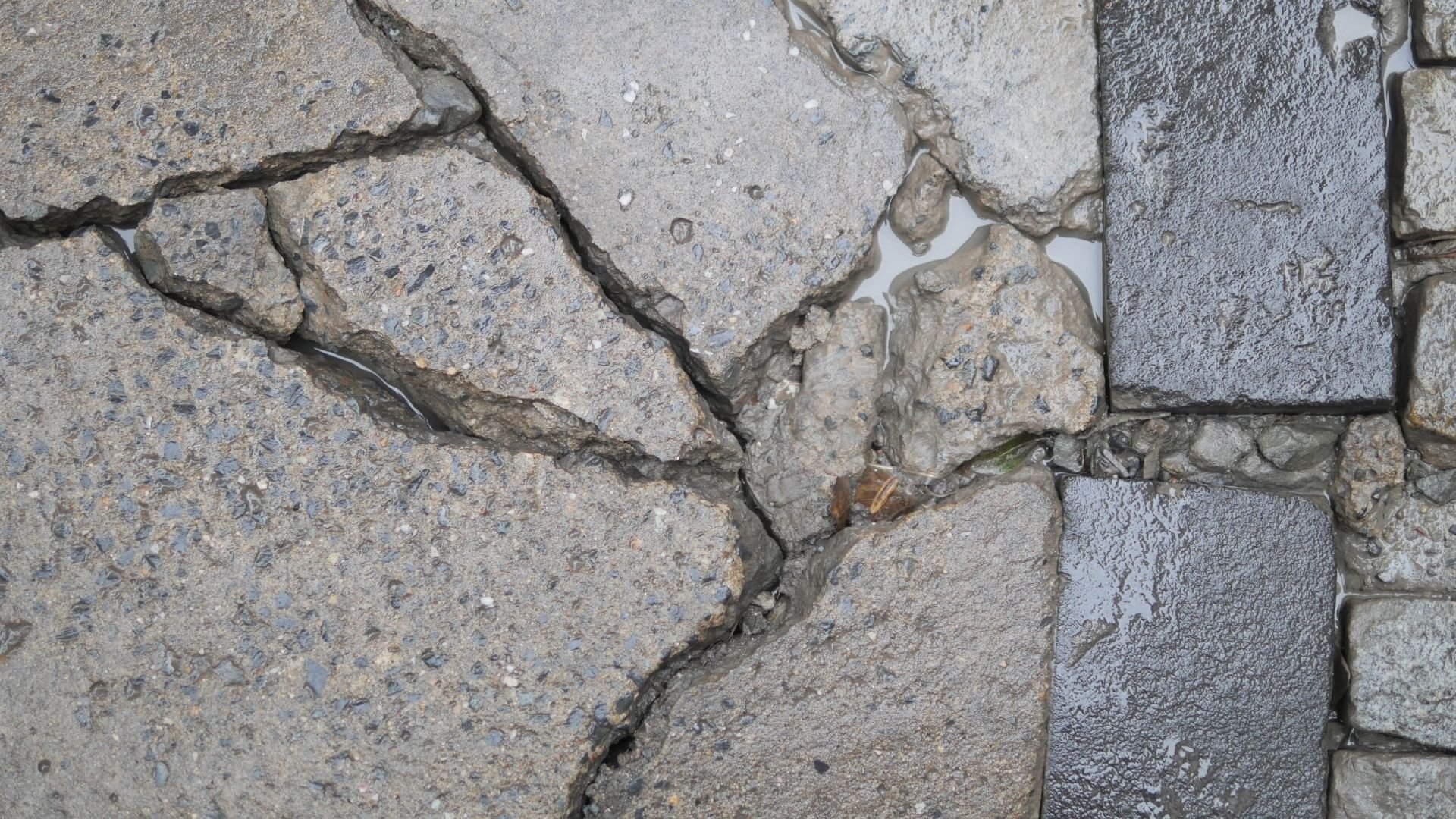 Cracked concrete surface showing uneven lawn care damage